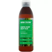 Barwa Zioowa szampon zioowy do wosw wypadajcych Skrzyp Polny 250 ml