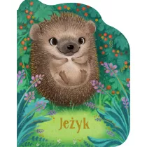 Jeyk