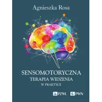 Sensomotoryczna Terapia Widzenia w praktyce
