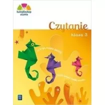 Kalejdoskop ucznia. Czytanie kl. 3 WSiP