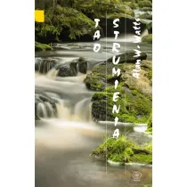 Tao strumienia