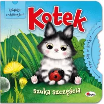 Kotek szuka szcz�cia. Baw si� w k�ko