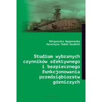 Studium wybranych czynnik�w efektywnego i bezpiecznego funkcjonowania przedsi�biorstw g�rniczych