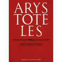 Metafizyka