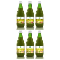 Bio Food Sok z cytryn NFC bezglutenowy zestaw 6 x 300 ml Bio