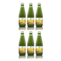 Bio Food Sok z imbiru Zestaw 6 x 300 ml Bio