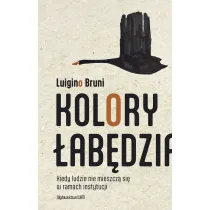 Kolory �ab�dzia