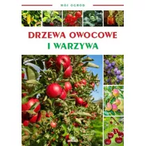 Mj ogrd. Drzewa owocowe i warzywa w ogrodzie