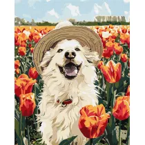 Ideyka Malowanie po numerach -Szczliwy labrador 40x50cm
