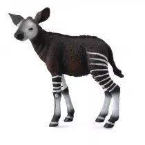 Okapi ciel