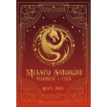 P�omie� i cie�. Miasto smok�w. Tom 1