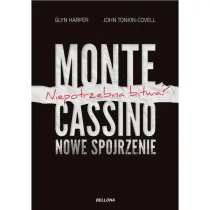 Monte Cassino - nowe spojrzenie. Niepotrzebna bitwa?