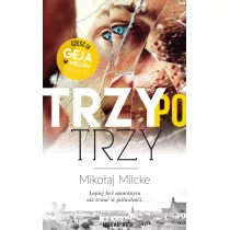 Trzy po trzy. Gej w wielkim miecie. Tom 4