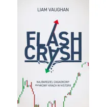 Flash Crash. Najbardziej zagadkowy rynkowy krach w historii