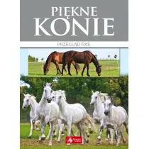 Pi�kne konie Przegl�d ras