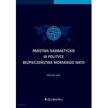 Pa�stwa nadba�tyckie w polityce bezpiecze�stwa..