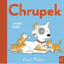 Chrupek i mae kotki