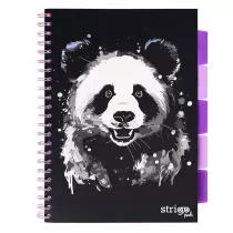 Koozeszyt Strigo A4 Project Book Panda czarny w lini