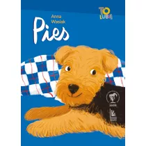 Pies