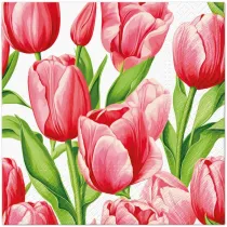 Paw Serwetka Lunch Decor Tulip Time 33x33 20szt./op.