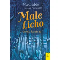 Mae Licho i anio z kamienia. Mae Licho. Tom 2