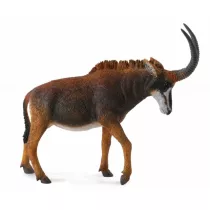 Antylopa gigant sable samica