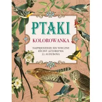 Ptaki. Kolorowanka antystresowa