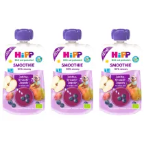Hipp Smoothie Mus z owoc�w i sok�w po 1. roku jab�ka-gruszki-jagody zestaw 3 x 120 ml Bio