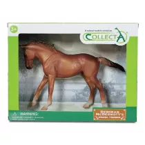 Klacz rady Thoroughbred ma�ci Chestnut