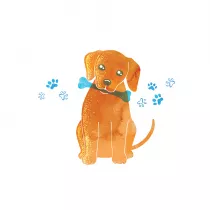 Clear Creations Karnet Swarovski kwadrat CL2616 Piesek z ko�ci�