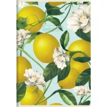 Top-2000 Zeszyt A5 Summer Harvest Club kratka 60 kartek