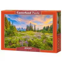 Puzzle 2000 el. Blossoms of Morning Castorland