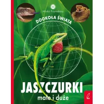 Modzi przyrodnicy. Dookoa wiata. Jaszczurki mae i due