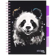 Strigo Ko�ozeszyt Pads B5 Panda kratka 100 kartek