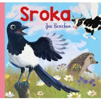 Sroka