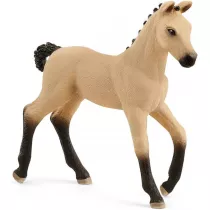 rebi Rasy Hanoverian, Red Dun