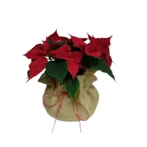 Juta os�onka 60cm