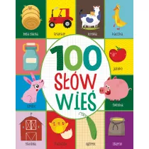 100 s��w. Wie�