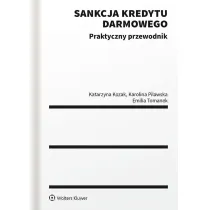 Sankcja kredytu darmowego. Praktyczny przewodnik