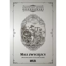 Mali zwycizcy (Przygody dzieci w Pustyni Szamo)