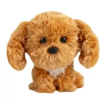 Lumo Cavapoo Teddy Classic (puppies)