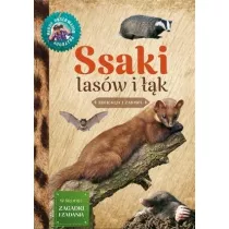 Mody Obserwator Przyrody - Ssaki lasw i k