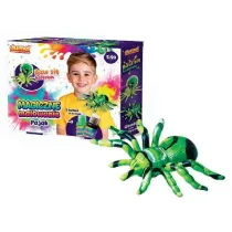 Magiczne malowanie Paj�k Dumel