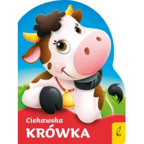 Wykrojnik. Ciekawska krwka
