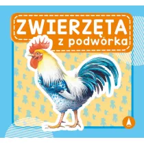 Zwierzta z podwrka