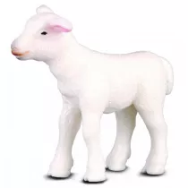 Jagni� stoj�ce