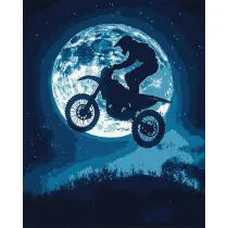 Ideyka Malowanie po numerach - Nocny sza� 40x50cm