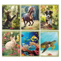 Herlitz Zeszyt A5 Animals mix linia, 70g 32 kartki