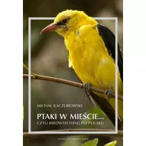 Ptaki w miecie czyli birdwatching po polsku