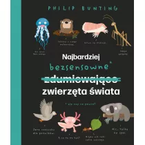 Najbardziej bezsensowne zwierzta wiata